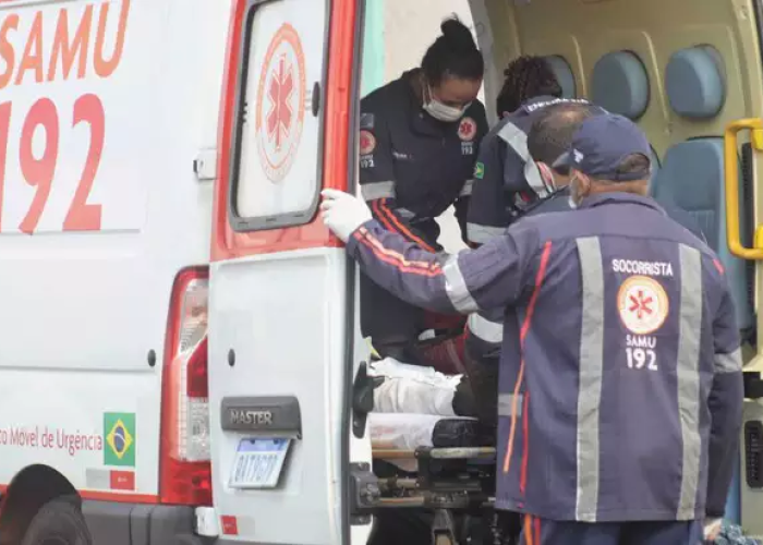 Idoso é picado por enxame de abelhas em condomínio no Monte Alegre